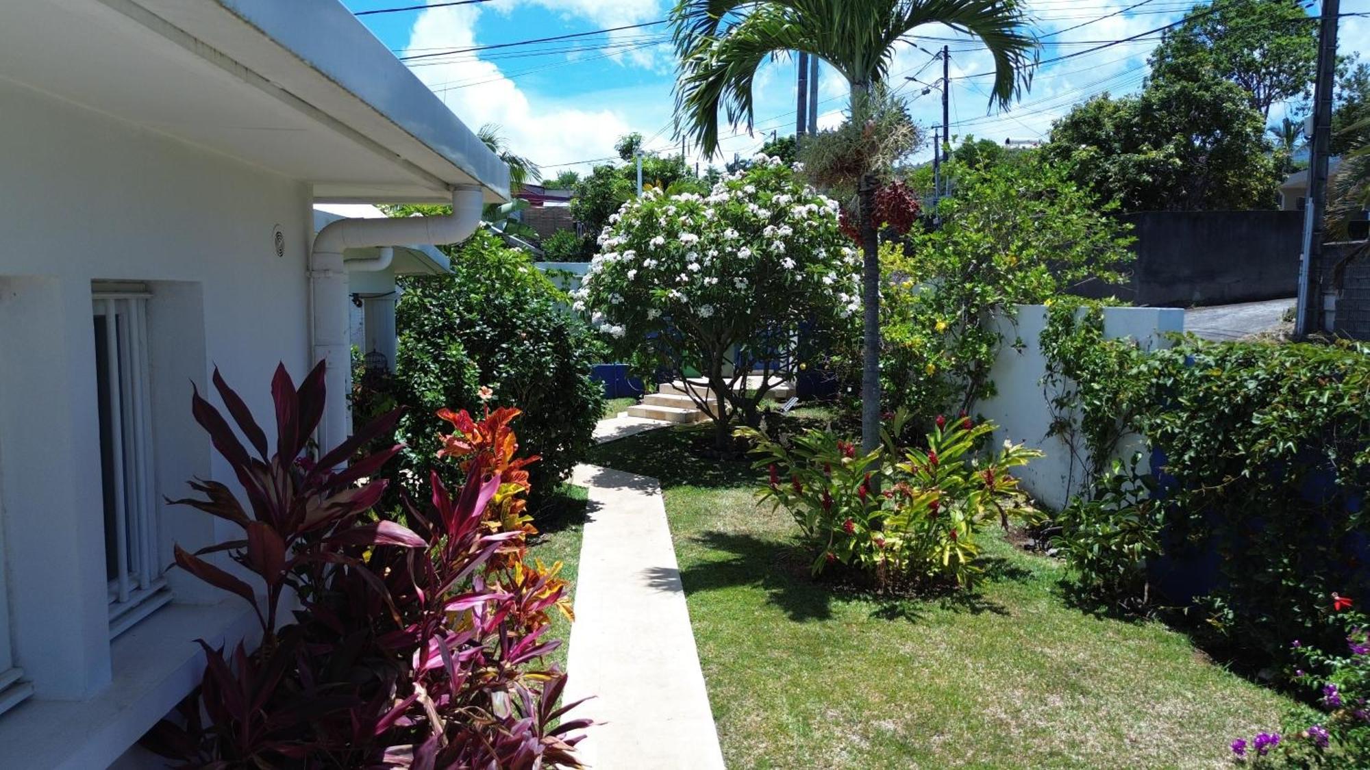 Villa Belle Vue, Chambre Bambous แซ็ง-ปีแยร์ ภายนอก รูปภาพ